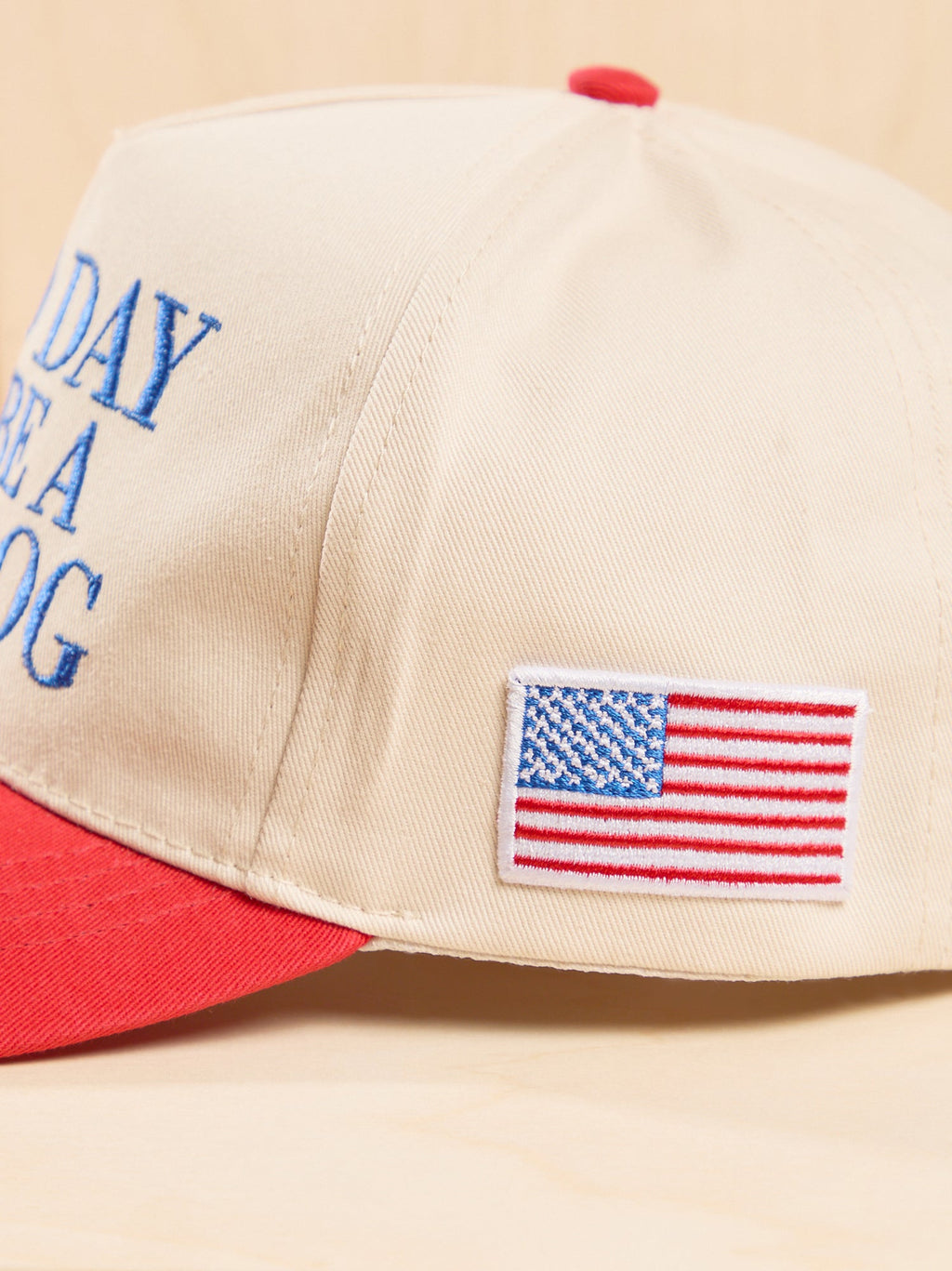 Bad Day to be a Hot Dog Trucker Hat