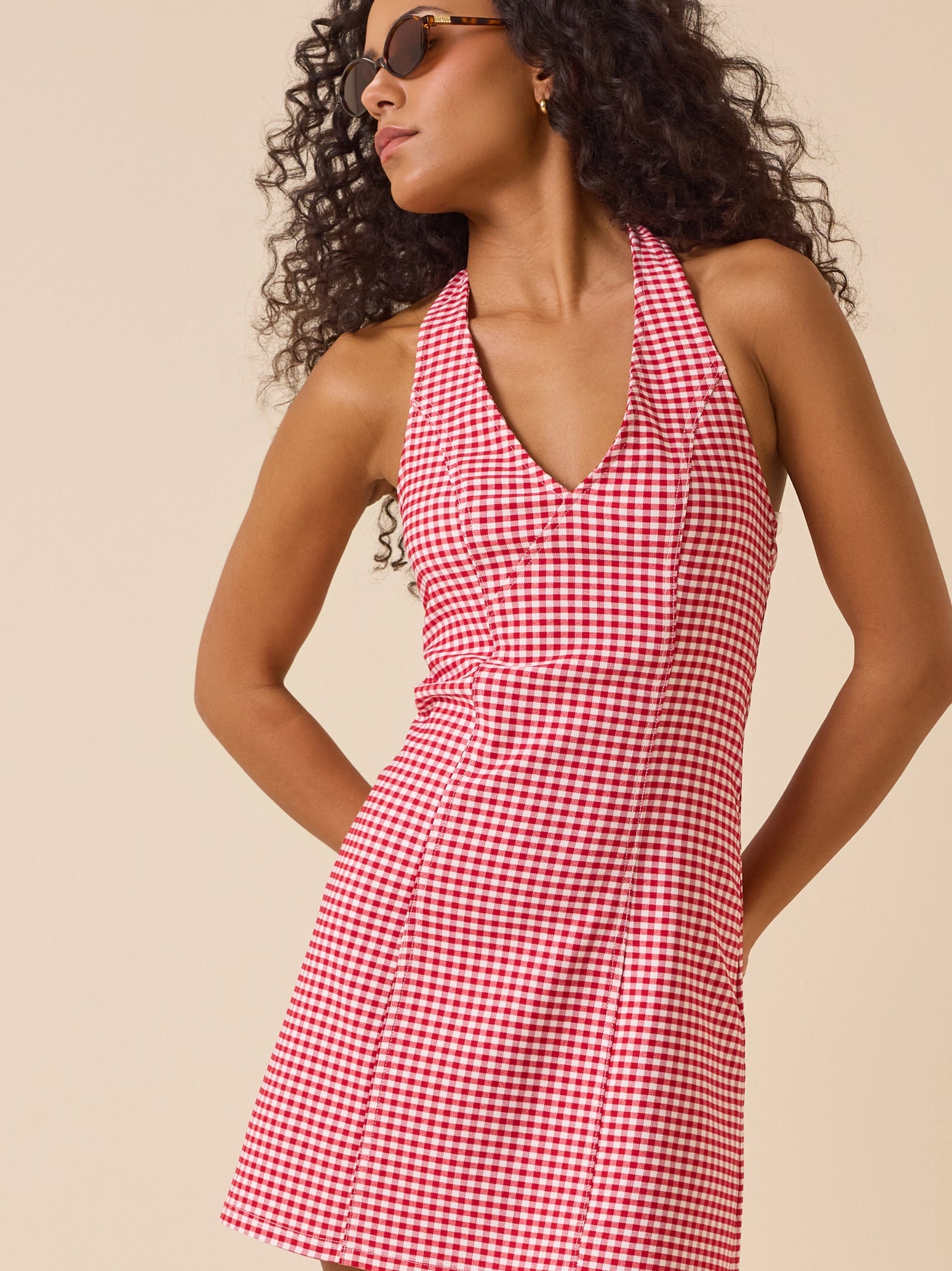 Maura Gingham Mini Dress