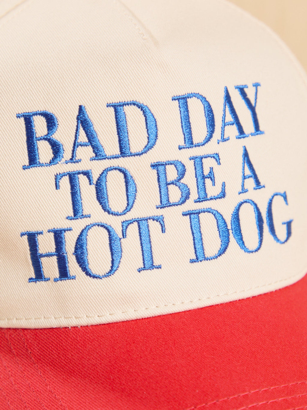 Bad Day to be a Hot Dog Trucker Hat