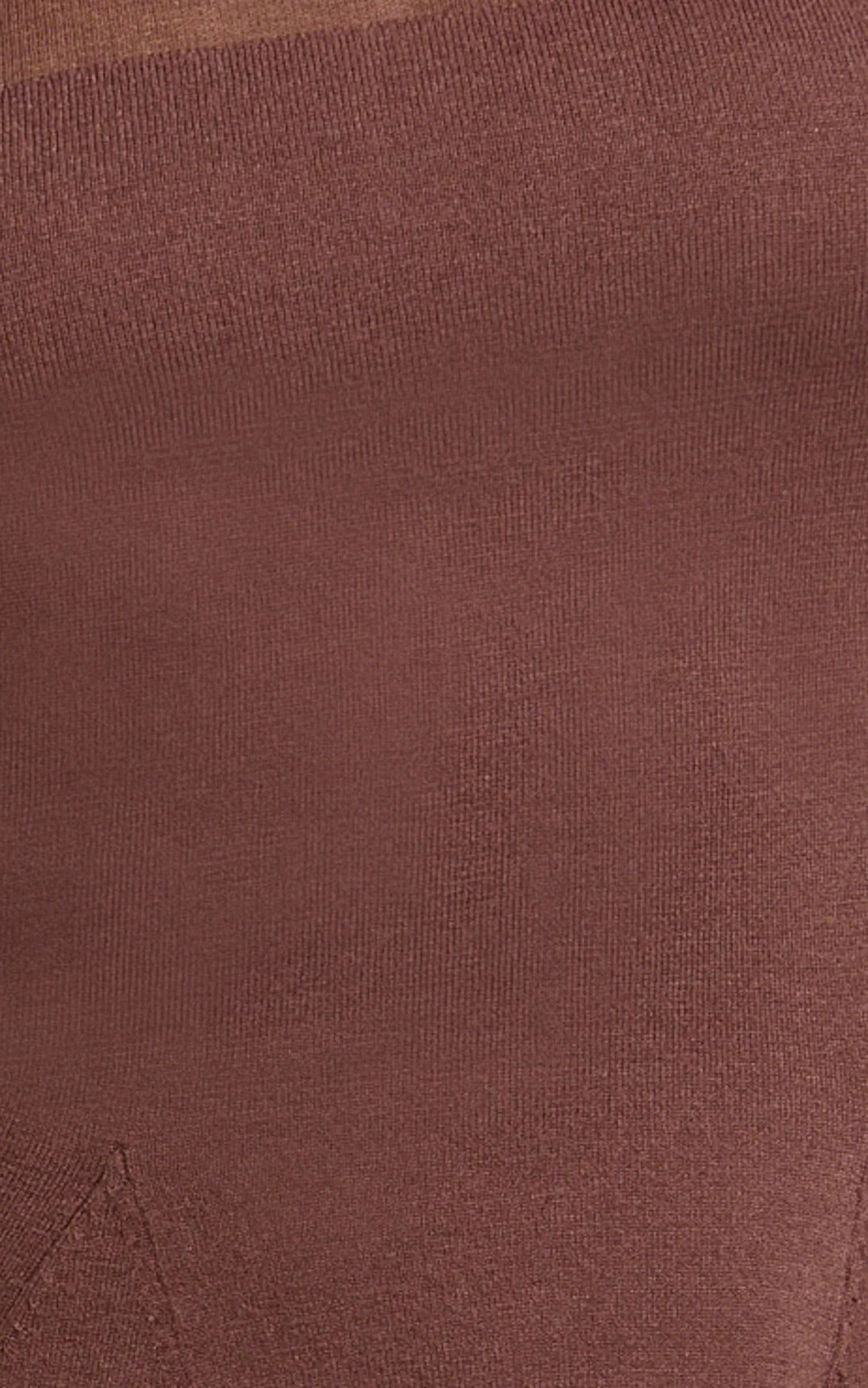 Camilla Mini Dress - Turtle Neck Fit And Flare Sheer Contrast Knit Dress in Chocolate