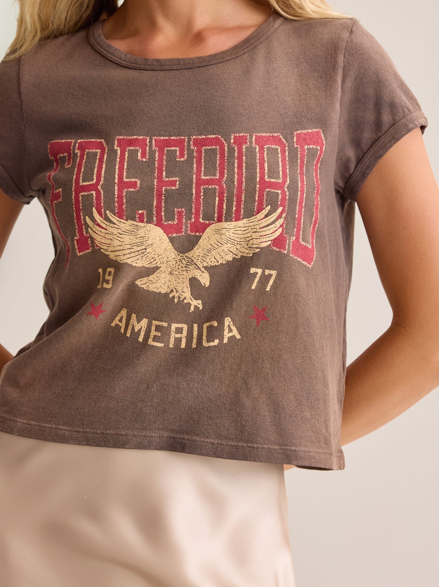 Freebird USA Crop Tee